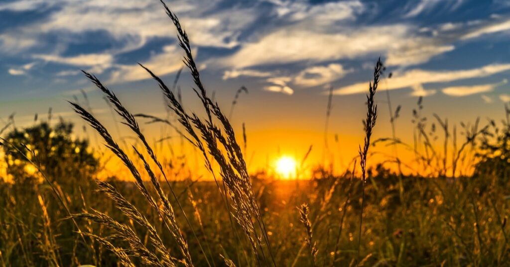 SP&Ouml;-Sidl/Feichtinger unterst&uuml;tzen Initiative f&uuml;r sozial und &ouml;kologisch gerechte Landwirtschaft